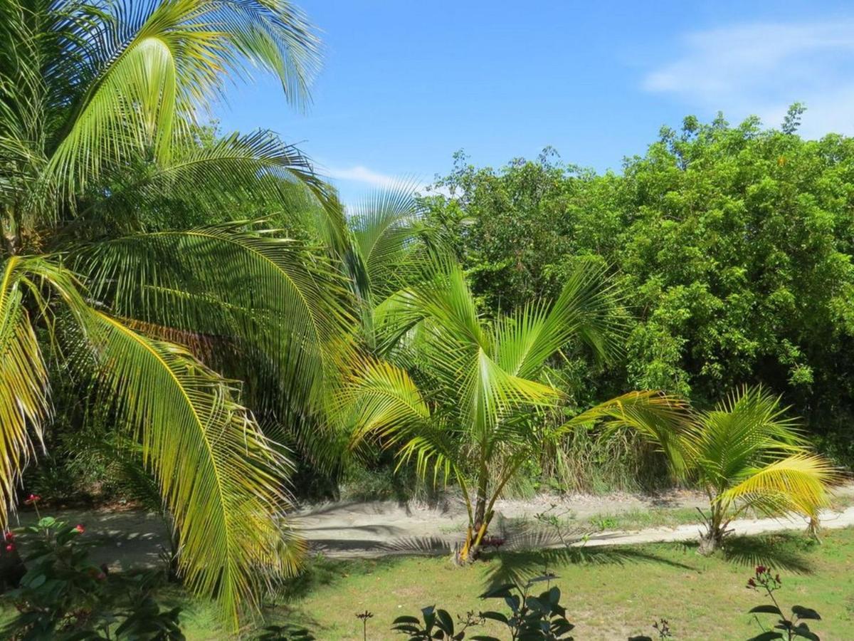 Orchid Cottage By Eleuthera Vacation Rentals Governor's Harbour Eksteriør billede