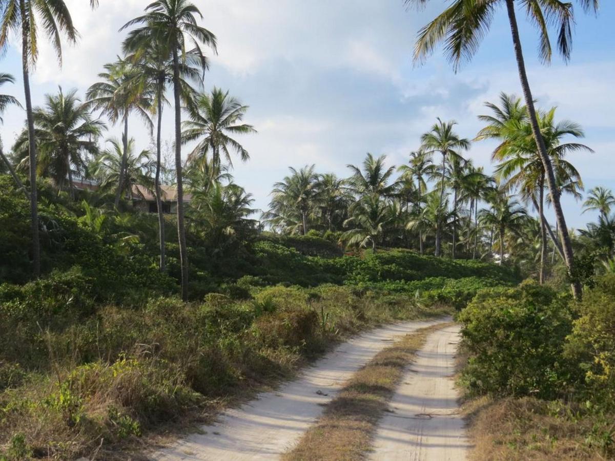 Orchid Cottage By Eleuthera Vacation Rentals Governor's Harbour Eksteriør billede