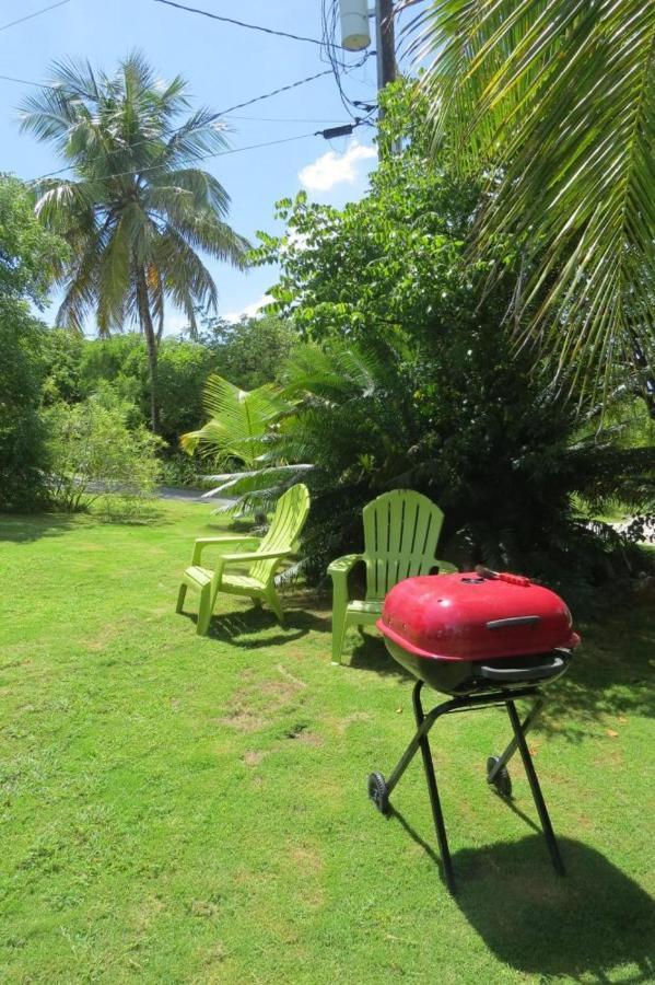 Orchid Cottage By Eleuthera Vacation Rentals Governor's Harbour Eksteriør billede